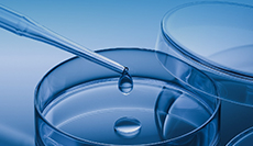 研發(fā)與創(chuàng)新